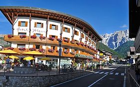 Hotel Des Alpes